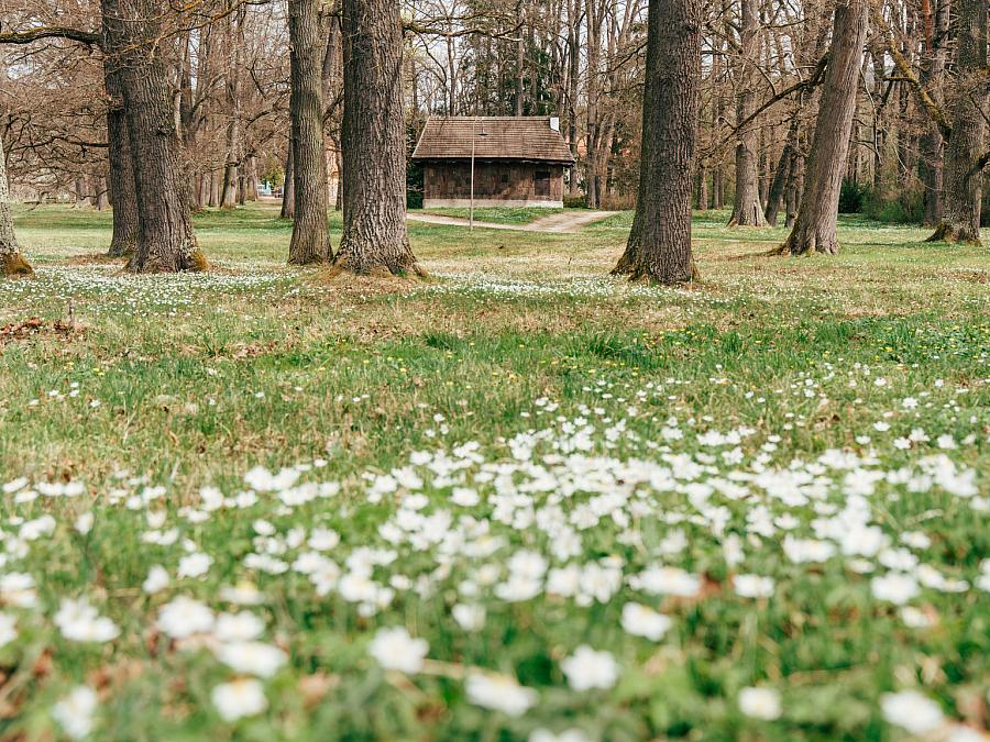 Velikonoční stezka pro děti v parku Červený Dvůr, Zábavné úkoly a procházka v jarním parku Velikonoční stezka pro děti v parku Červený Dvůr, Zábavné úkoly a procházka v jarním parku