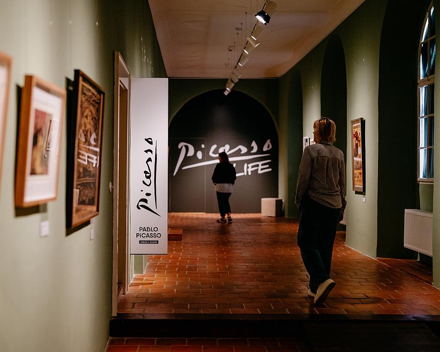 Výstava Picasso Life s 20% slevou, 20 % sleva na výstavu Picasso Life pro cestující Jižním expresem