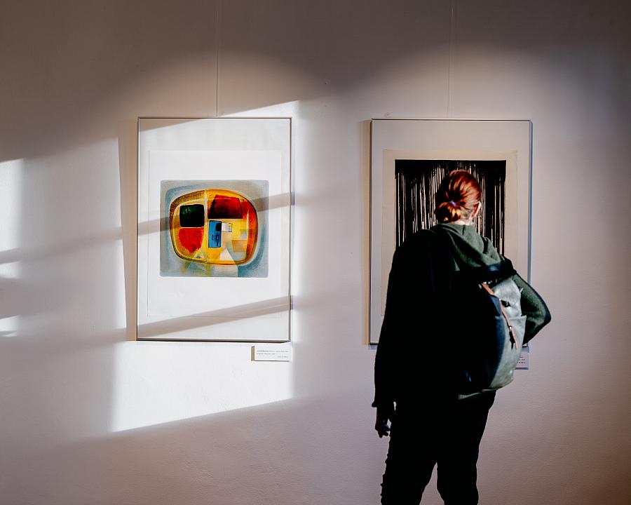 Komentovaná prohlídka výstavy Strom, stromy... les, Poznejte výstavu se dvěma z vystavujících autorů – Jiřím Hanušem a Markem Borsányim Komentovaná prohlídka výstavy Strom, stromy... les, Poznejte výstavu se dvěma z vystavujících autorů – Jiřím Hanušem a Markem Borsányim